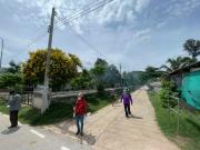 LINEALBUM-69260623177-Copy